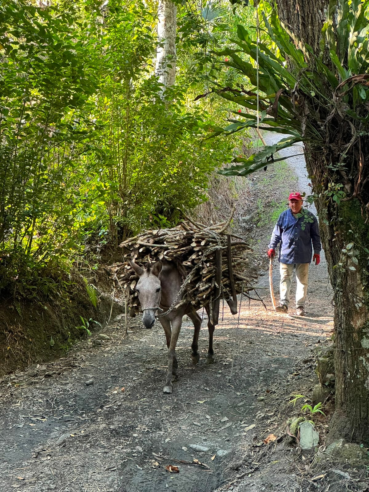 Panela y cultura local — actividad turística en Villeta, Cundinamarca